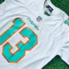784350503_1033556402900727_5377035536519469310_n Dolphins White