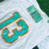 786888540_3128778277315364_8617608679411379068_n Dolphins White